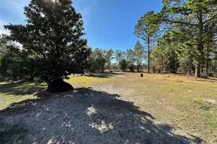 3090 SW Timberlake Rd, Dunnellon, FL 34431 - Photo 21