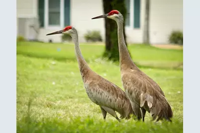 11518 SW 136th Place, Dunnellon, FL 34432 - Photo 75