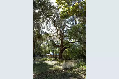 429 SE 1st Avenue, Williston, FL 32696 - Photo 41