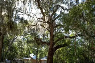 429 SE 1st Ave, Williston, FL 32696 - Photo 41