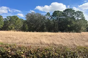 13235 SE 97th Terrace Rd, Summerfield, FL 34491 - Photo 5
