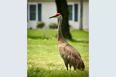 11283 SW 139th Place, Dunnellon, FL 34432 - Photo 81