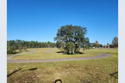 649 SW Winding Hills Road, Dunnellon, FL 34431 - Photo 11