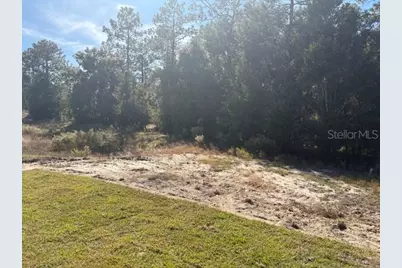 7758 SW 180th Circle, Dunnellon, FL 34432 - Photo 13