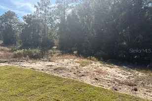 7758 SW 180th Cir, Dunnellon, FL 34432 - Photo 13