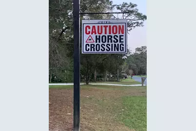 3155 W Brazilnut Road, Beverly Hills, FL 34465 - Photo 7