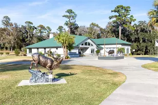 255 SW 96th Ln, Ocala, FL 34476 - Photo 81