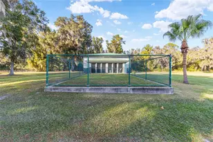 255 SW 96th Ln, Ocala, FL 34476 - Photo 79