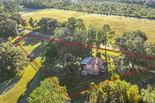 17725 NW 160th Ave, Williston, FL 32696 - Photo 31