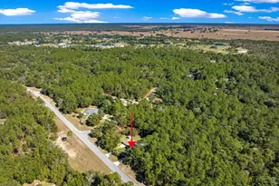 7535 SW 185th Avenue Rd, Dunnellon, FL 34432 - Photo 51