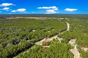 7535 SW 185th Avenue Rd, Dunnellon, FL 34432 - Photo 53