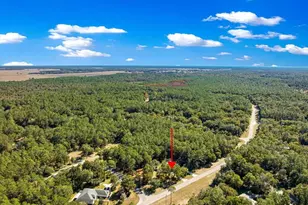 7535 SW 185th Avenue Rd, Dunnellon, FL 34432 - Photo 55