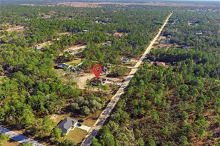 12915 SW 85th Pl, Dunnellon, FL 34432 - Photo 43