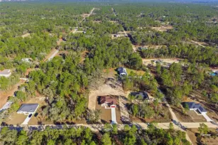 12915 SW 85th Pl, Dunnellon, FL 34432 - Photo 41