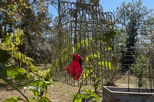 280 SW Ridgewood Rd, Dunnellon, FL 34431 - Photo 41