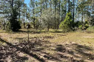 280 SW Ridgewood Rd, Dunnellon, FL 34431 - Photo 43