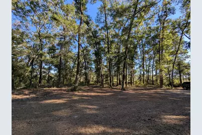 4739 SE 60th Avenue, Trenton, FL 32693 - Photo 47