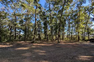 4739 SE 60th Ave, Trenton, FL 32693 - Photo 47