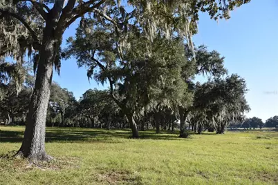 Off Hwy 301, Summerfield, FL 34491 - Photo 25