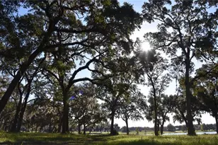 Off Hwy 301, Summerfield, FL 34491 - Photo 1