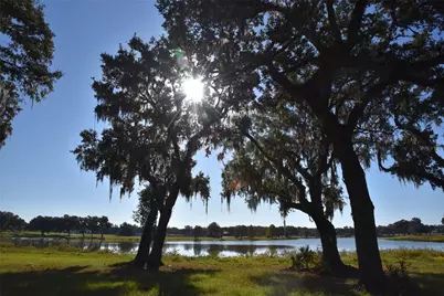 Off Hwy 301, Summerfield, FL 34491 - Photo 9