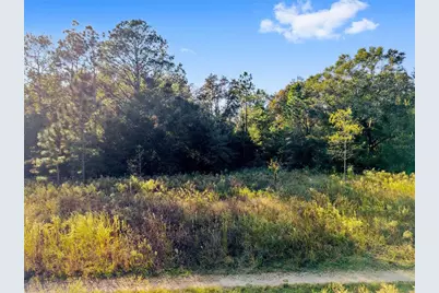 Sw 151st Avenue, Ocala, FL 34481 - Photo 19