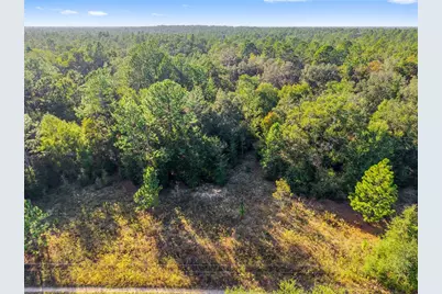 Sw 151st Avenue, Ocala, FL 34481 - Photo 15