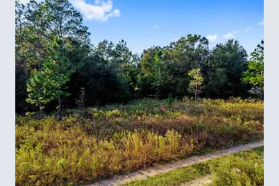 Sw 151st Avenue, Ocala, FL 34481 - Photo 17