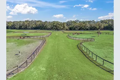 250 NE 195th Avenue, Williston, FL 32696 - Photo 9