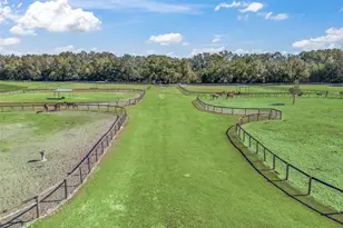 250 NE 195 Ave, Williston, FL 32696 - Photo 9