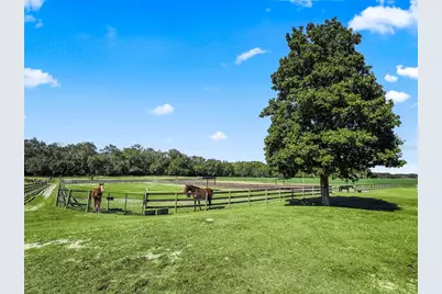 250 NE 195th Avenue, Williston, FL 32696 - Photo 13