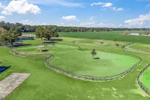 250 NE 195 Ave, Williston, FL 32696 - Photo 21