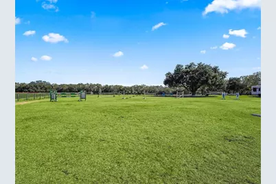 250 NE 195th Avenue, Williston, FL 32696 - Photo 17