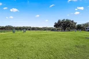 250 NE 195 Ave, Williston, FL 32696 - Photo 17