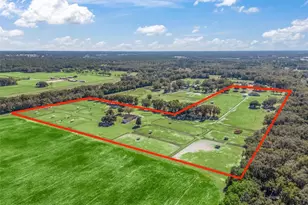 250 NE 195 Ave, Williston, FL 32696 - Photo 15