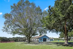 250 NE 195 Ave, Williston, FL 32696 - Photo 5