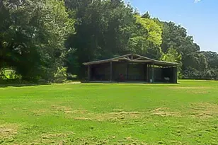 250 NE 195 Ave, Williston, FL 32696 - Photo 51