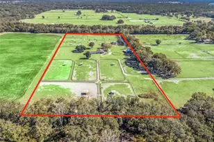 250 NE 195 Ave, Williston, FL 32696 - Photo 23