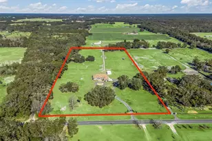 19351 E Levy St, Williston, FL 32696 - Photo 3