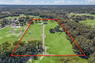 19351 E Levy St, Williston, FL 32696 - Photo 45