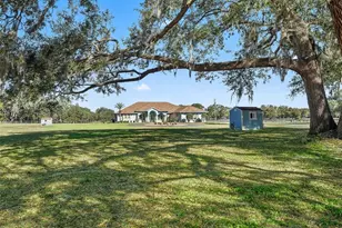 19351 E Levy St, Williston, FL 32696 - Photo 7