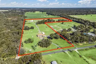 19351 E Levy St, Williston, FL 32696 - Photo 49