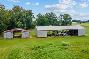 17176 N US Hwy 441, Reddick, FL 32686 - Photo 5