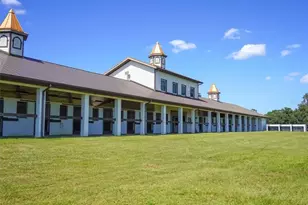 1345 NE 155 Pl, Citra, FL 32113 - Photo 81