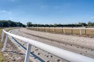 1345 NE 155 Pl, Citra, FL 32113 - Photo 23