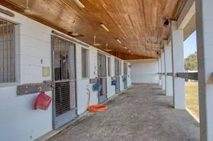 1345 NE 155 Pl, Citra, FL 32113 - Photo 41