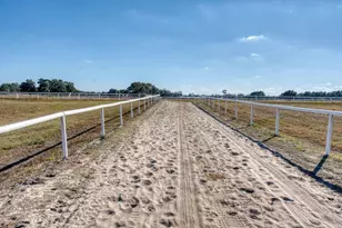 1345 NE 155 Pl, Citra, FL 32113 - Photo 11