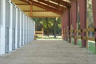 1345 NE 155 Pl, Citra, FL 32113 - Photo 61