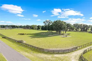 1345 NE 155 Pl, Citra, FL 32113 - Photo 75
