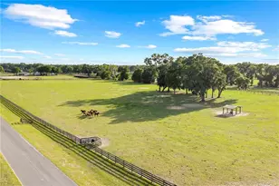 1345 NE 155 Pl, Citra, FL 32113 - Photo 77